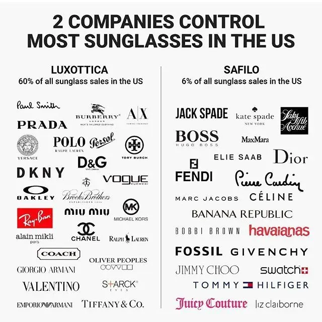 Built for Action: Performance Sunglass Brands List