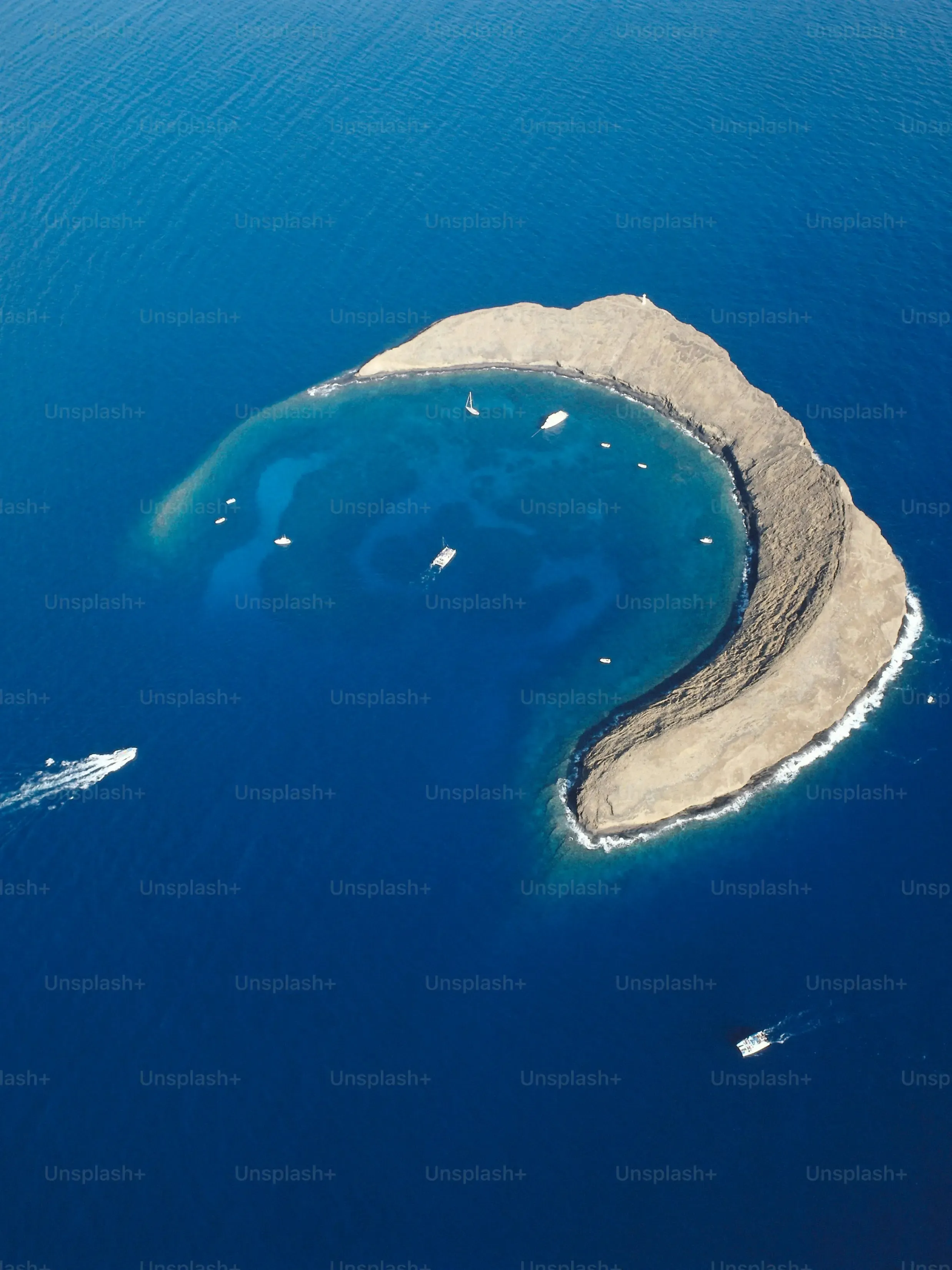 Finding Your Ideal Shades on Sunglass Island