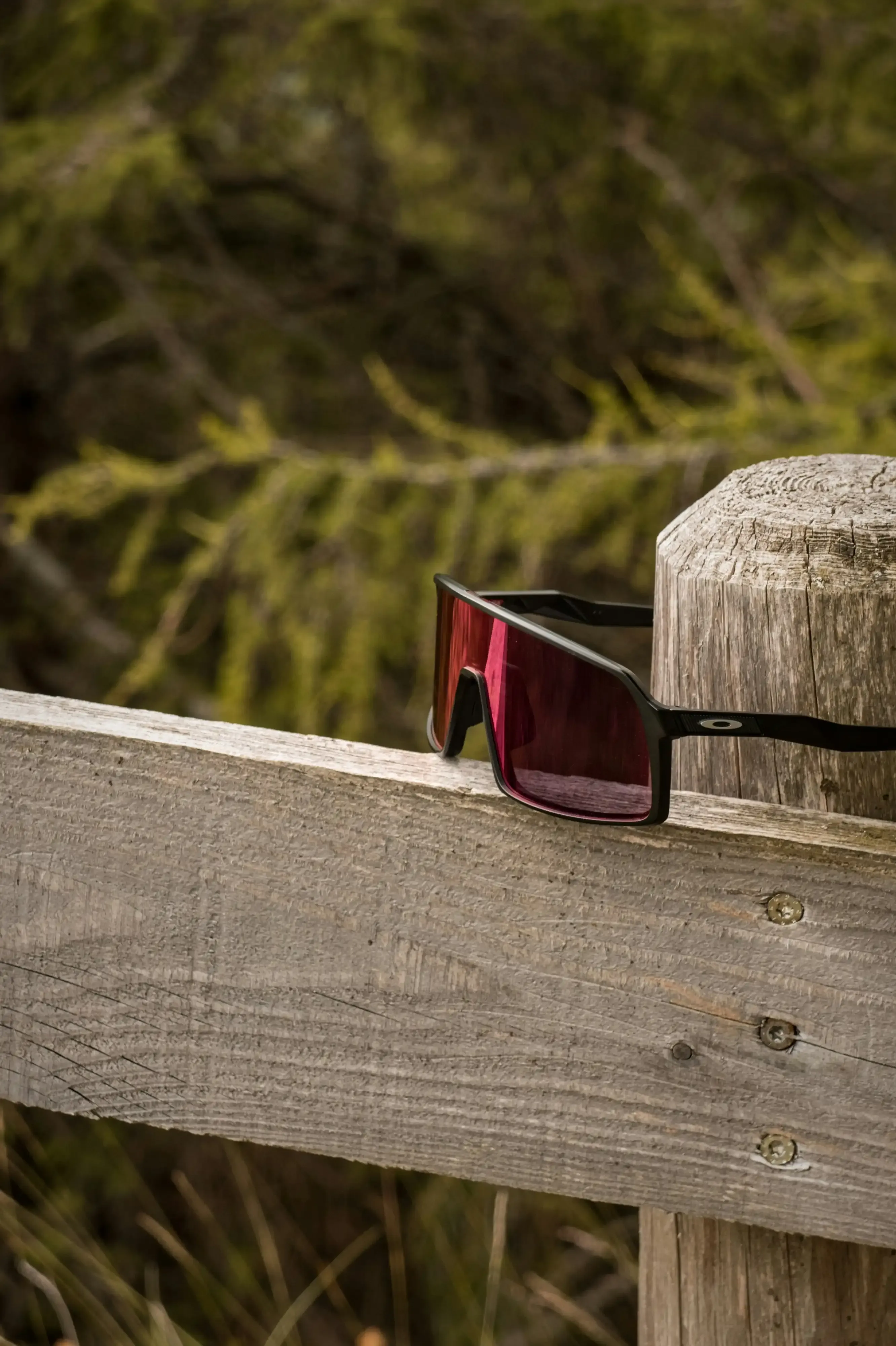 Maintaining and Caring for Your Oakley Sunglasses