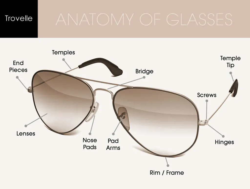 Expert Guide to Sunglass Anatomy: Every Part Explained