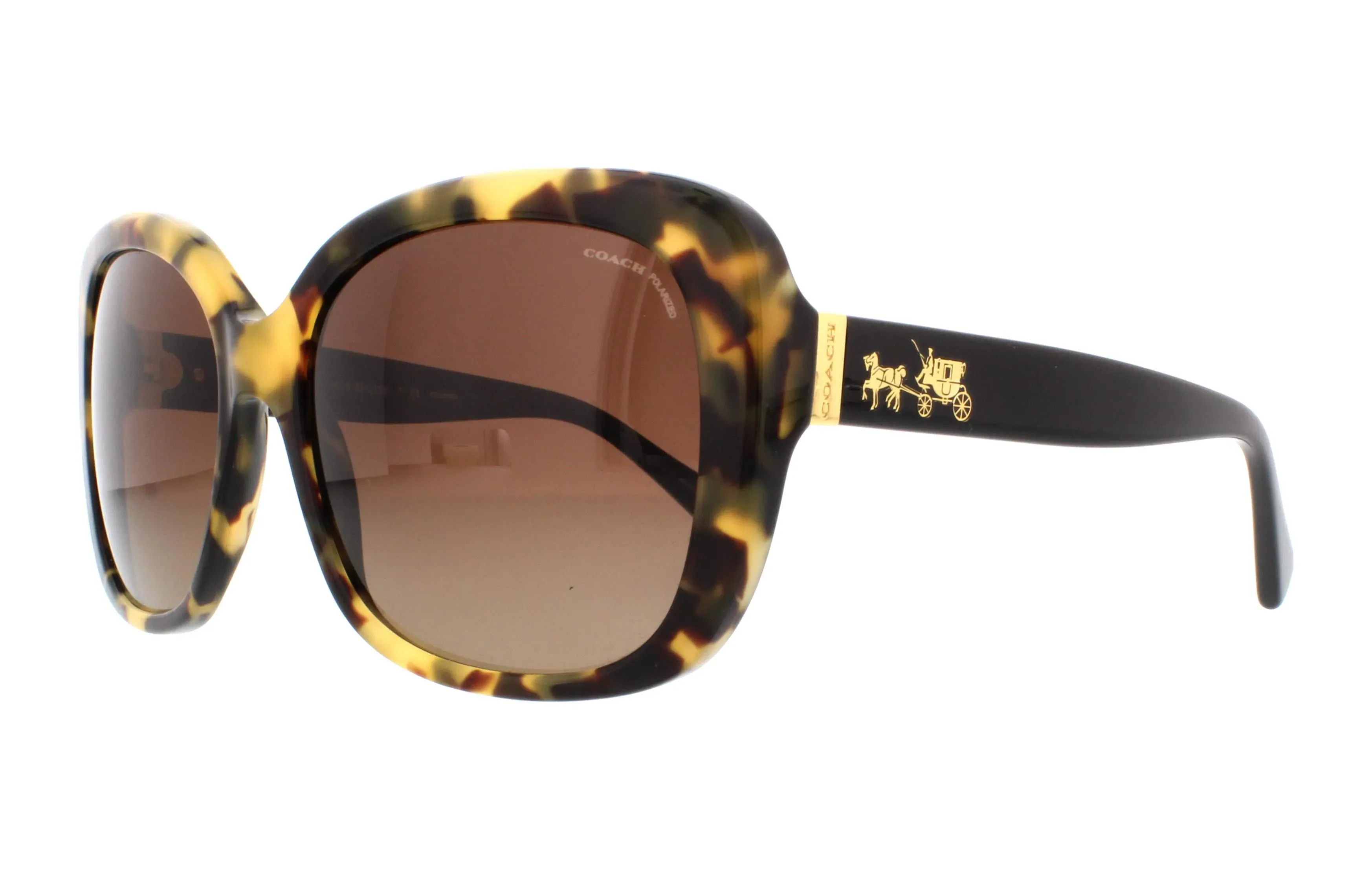 Why Choose Coach Sunglasses? Style Meets Substance